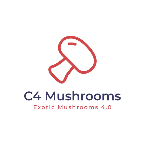 Shiitake – C4 Exotic Mushrooms 4.0 | Grown in the Hudson Valley