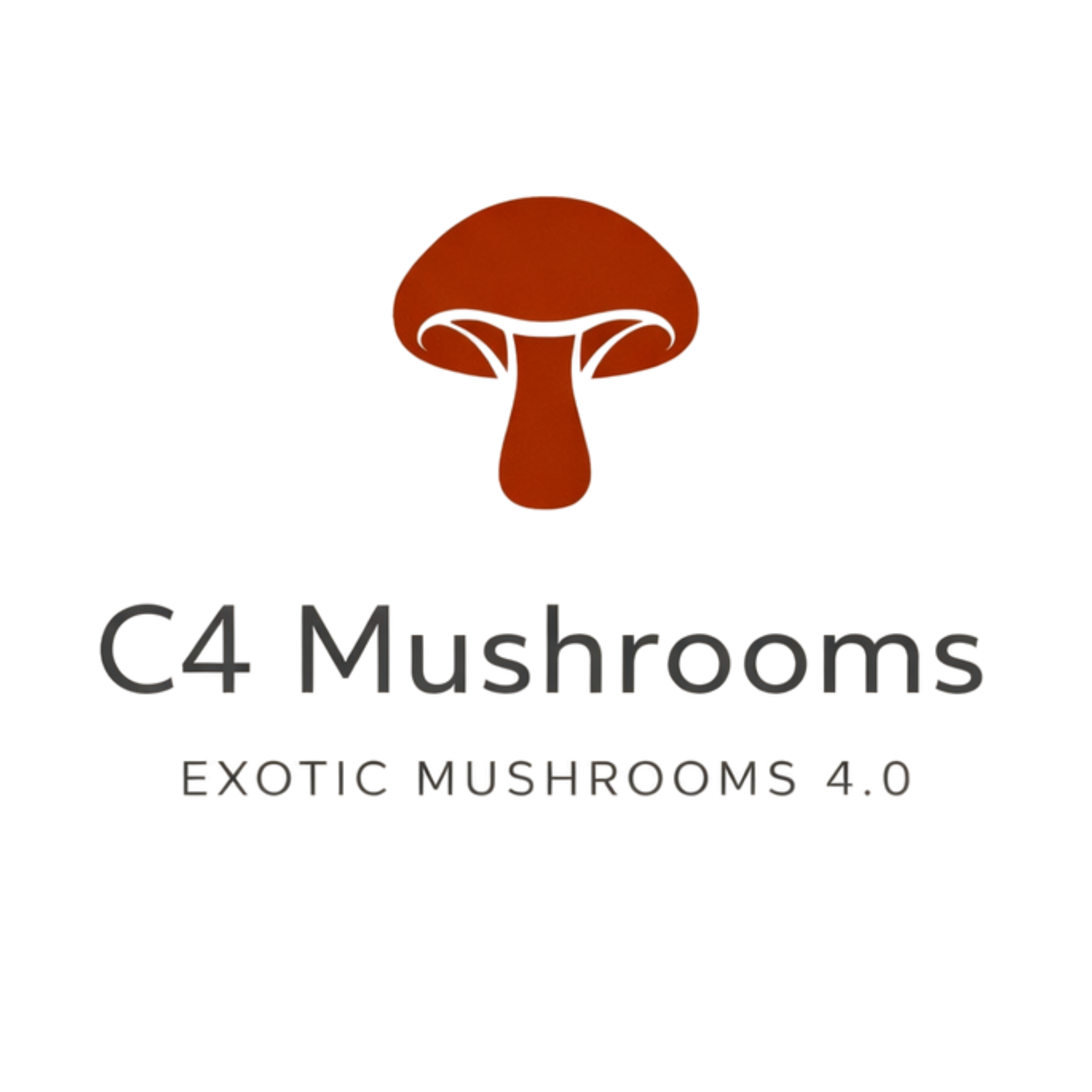 C4 Exotic Mushrooms 4.0 | Grown in the Hudson Valley