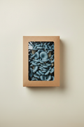 C4 Exotic Mushrooms Blue Oyster Mushrooms 