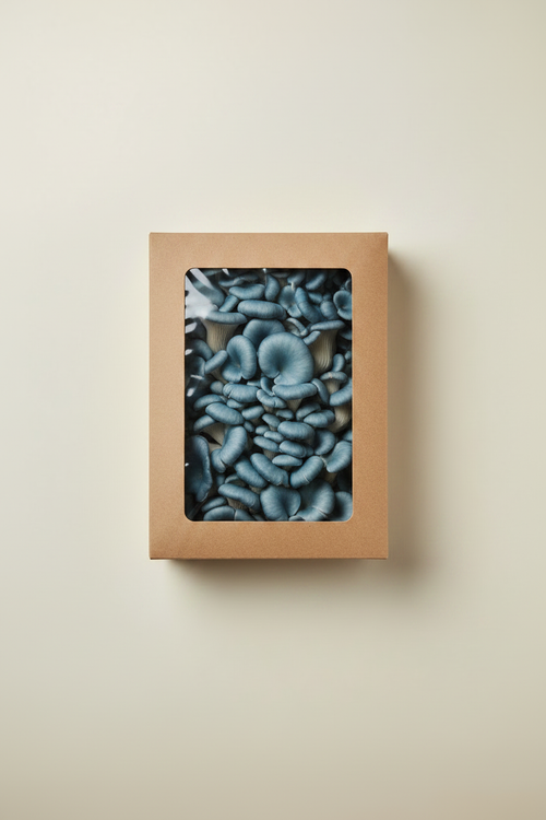 C4 Exotic Mushrooms Blue Oyster Mushrooms 