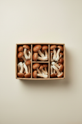 C4 Exotic Mushrooms Chestnut Mushrooms 