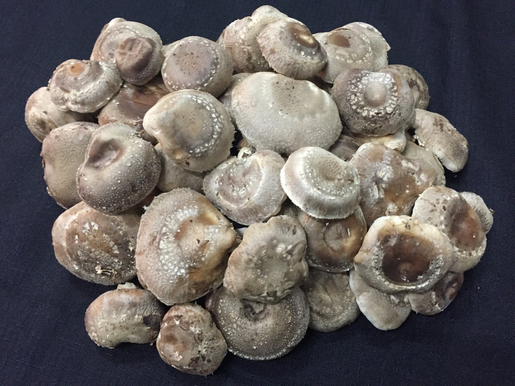 C4 Shiitake Mushrooms